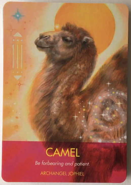 Archangel Animal Oracle